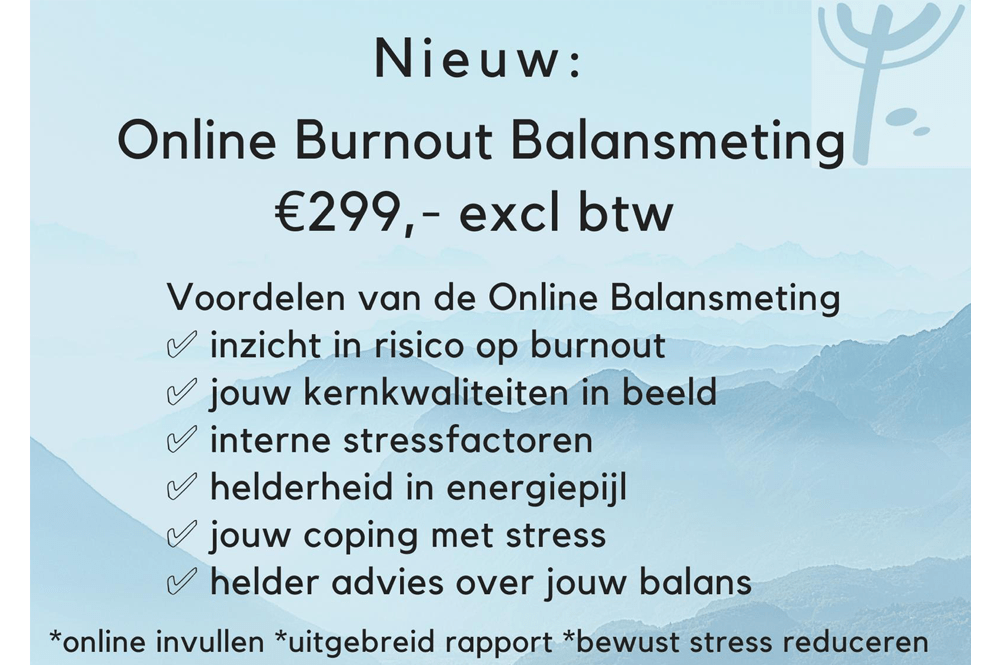 balansmeting-blokje-psycholoog-noordwijk.png